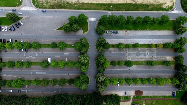 A serene green park view, symbolizing clean, refreshing, and natural design aesthetics.